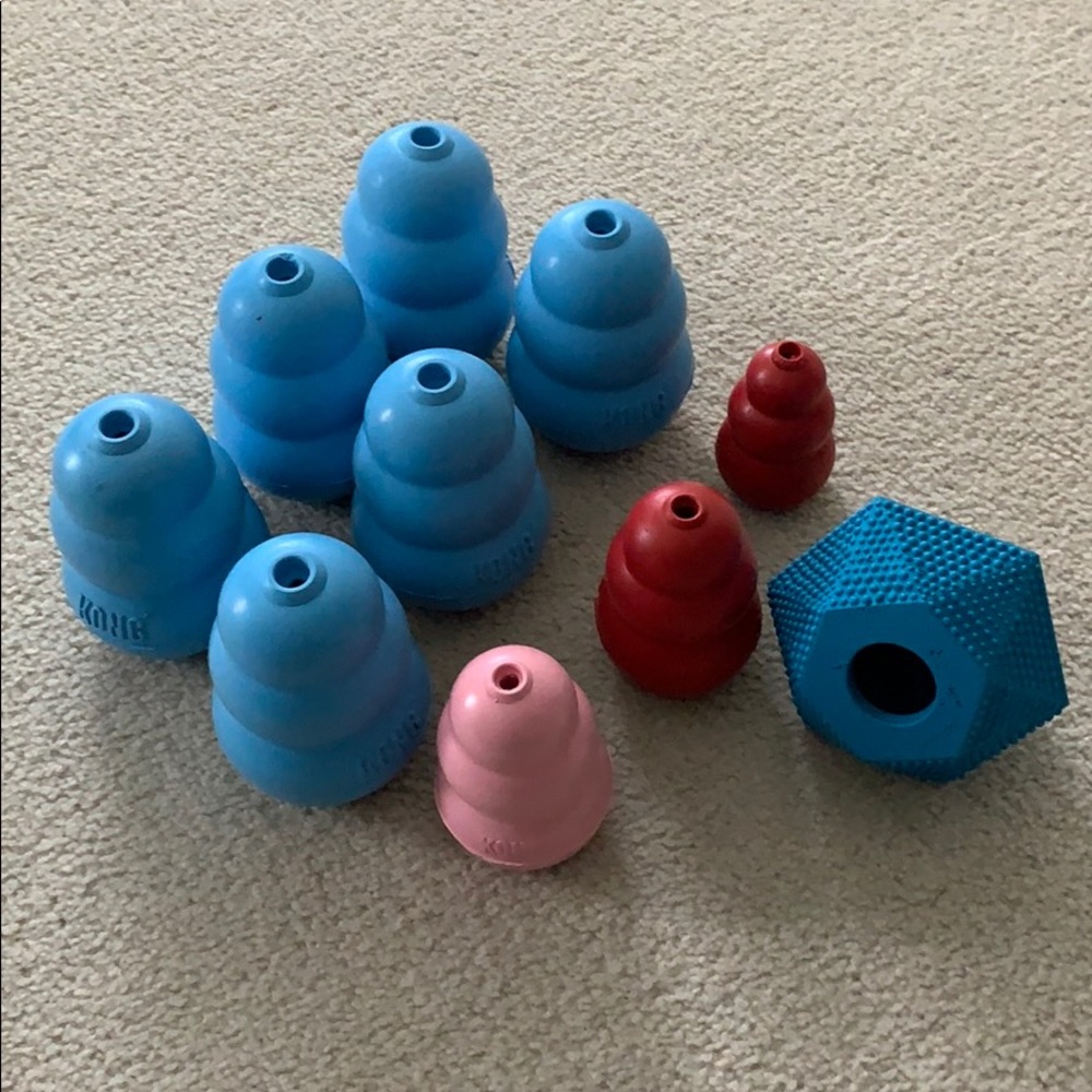 10 Kongs